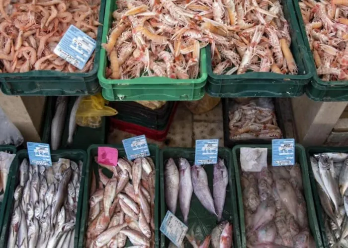 Lemon & Sun Apartman *